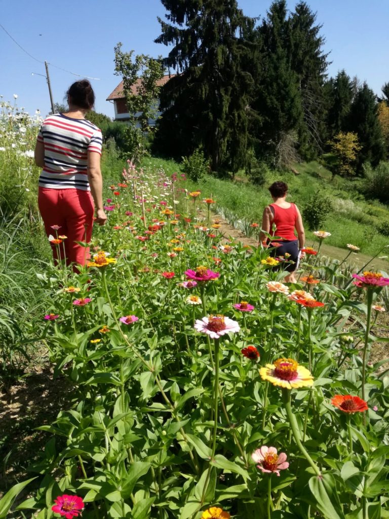 Visita della flower farm durate un’experience